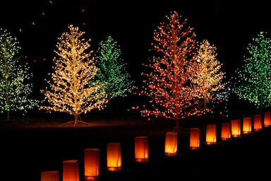 holiday-light-display-in-cities holiday light display in cities